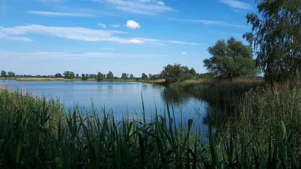 Teichland Linum, Germany