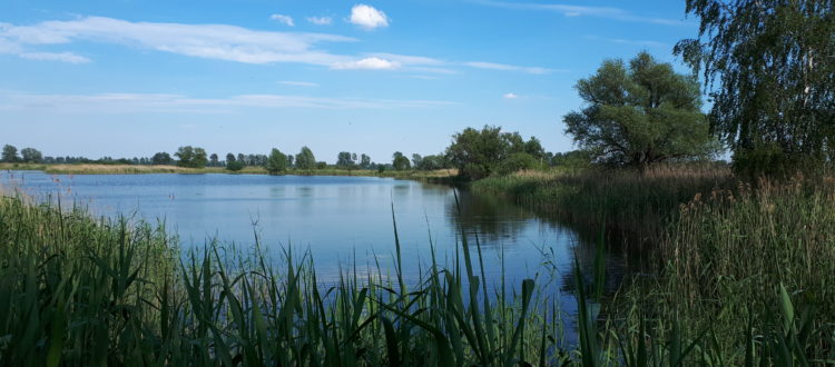 Teichland Linum, Germany