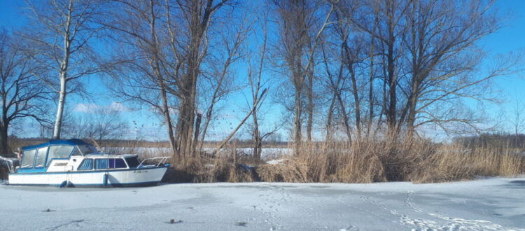 Winter landscape near Berlin