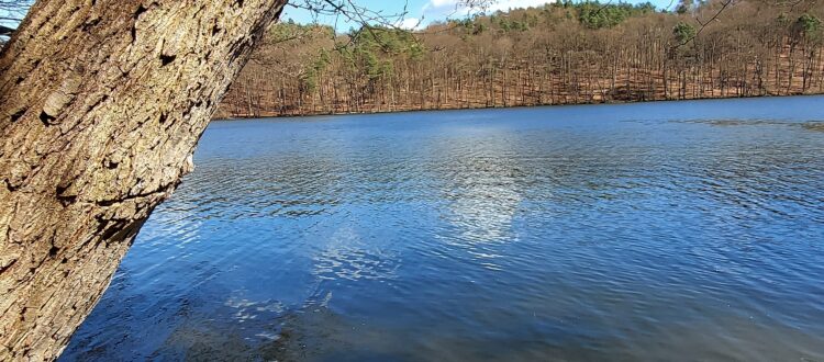 Lake Tornow