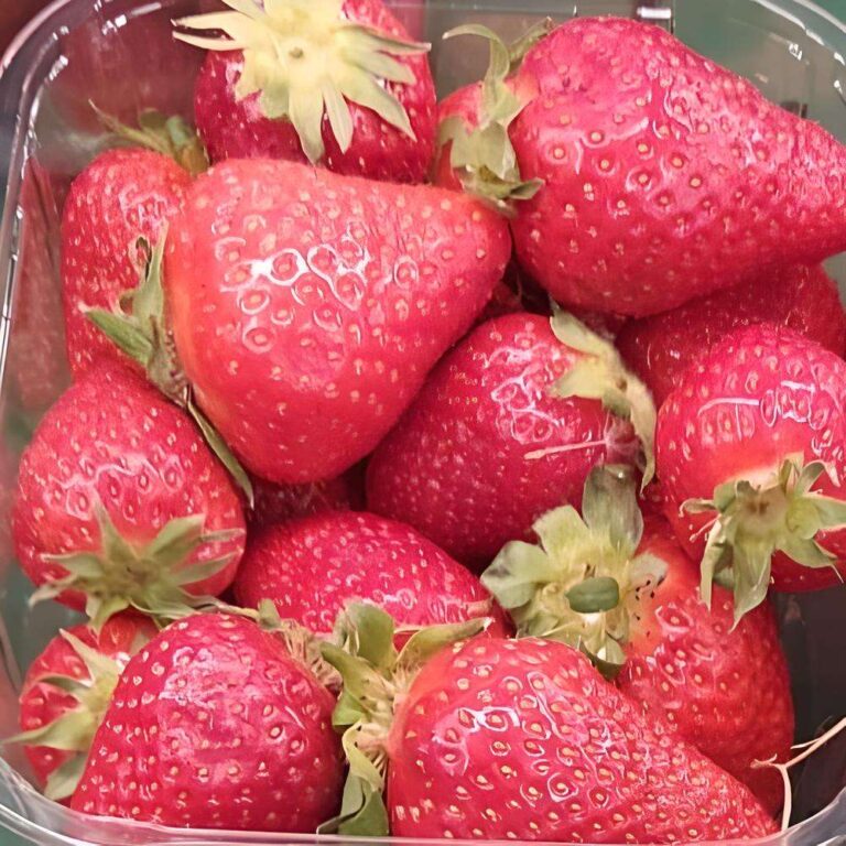 Sweet Delights: Strawberry Season in Germany
